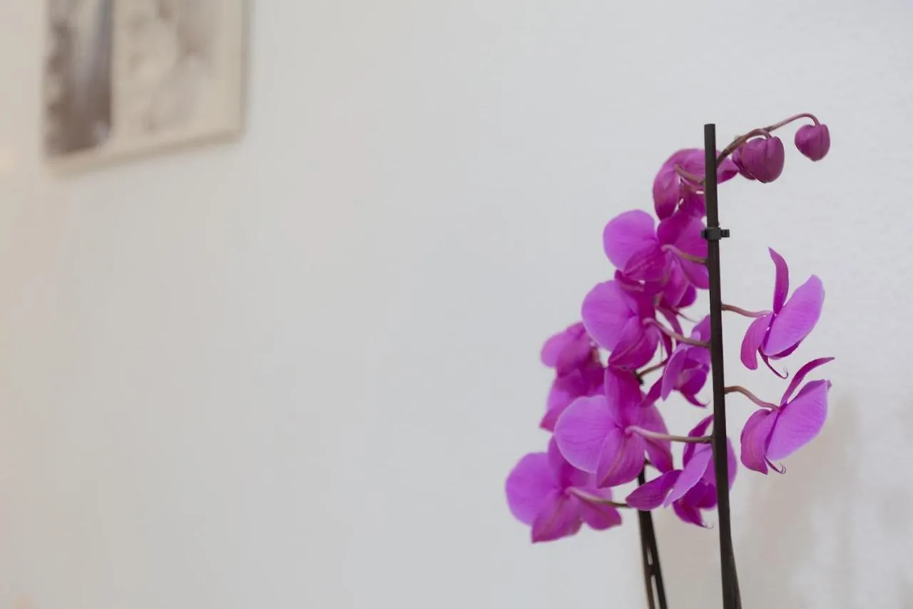 Apartamento Benalmar Playa Benalmadena Apartment